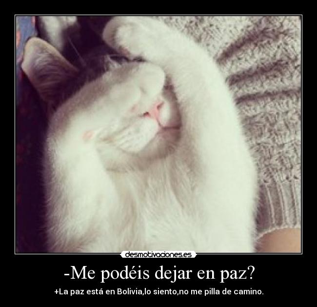 carteles brutal paz bolivia jajaja desmotivaciones