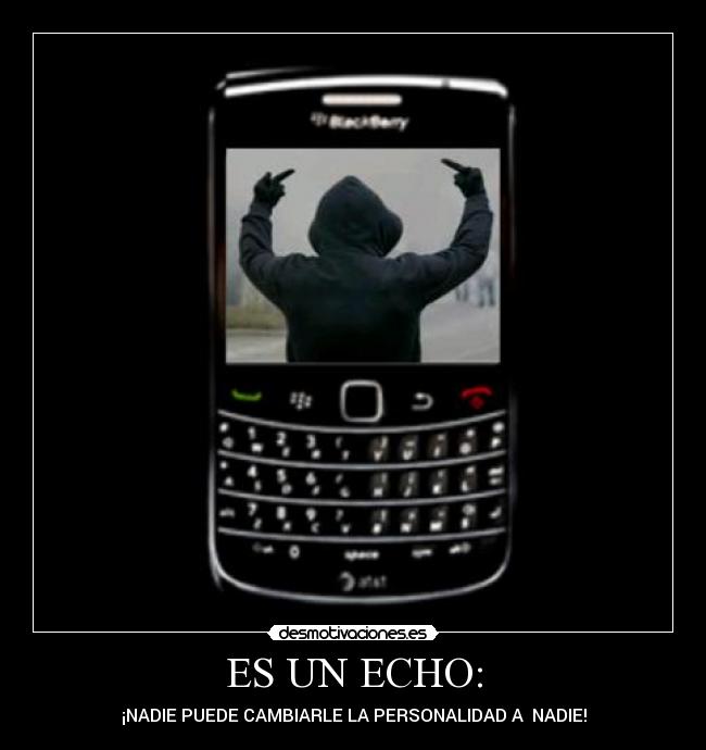 carteles echos desmotivaciones