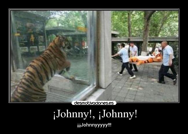 ¡Johnny!, ¡Johnny! - ¡¡¡Johnnyyyyy!!!