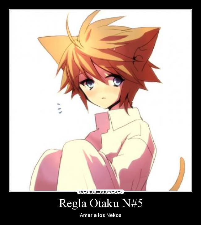 Regla Otaku N#5 - Amar a los Nekos