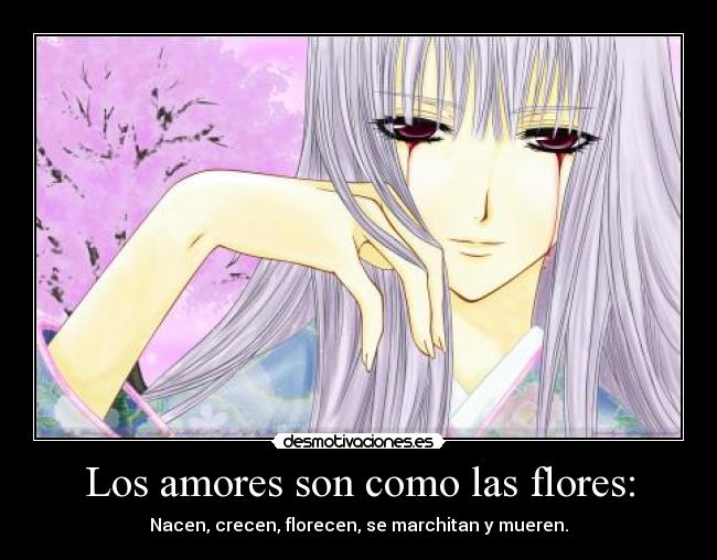 carteles flores desmotivaciones