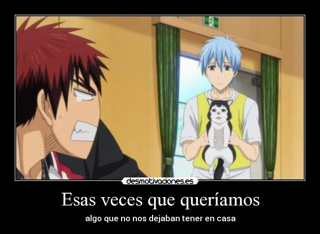 Esas veces que queríamos - algo que no nos dejaban tener en casa