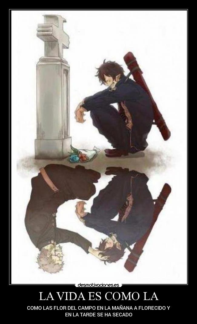 LA VIDA ES COMO LA - COMO LAS FLOR DEL CAMPO EN LA MAÑANA A FLORECIDO Y
EN LA TARDE SE HA SECADO