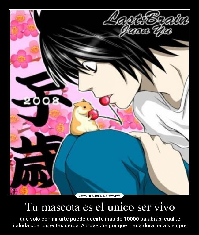 Tu mascota es el unico ser vivo - que solo con mirarte puede decirte mas de 10000 palabras, cual te
saluda cuando estas cerca. Aprovecha por que  nada dura para siempre