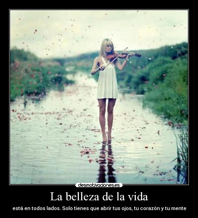 La belleza de la vida -