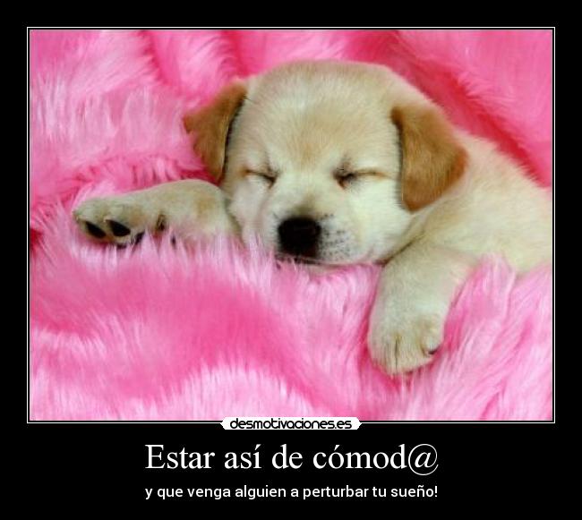 Estar así de cómod@ - 