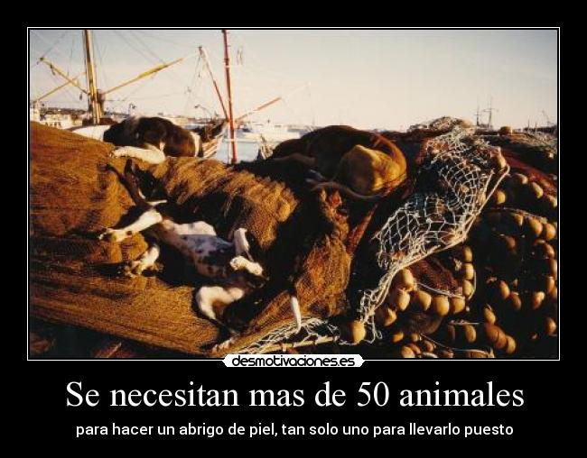 carteles animales los animales desmotivaciones