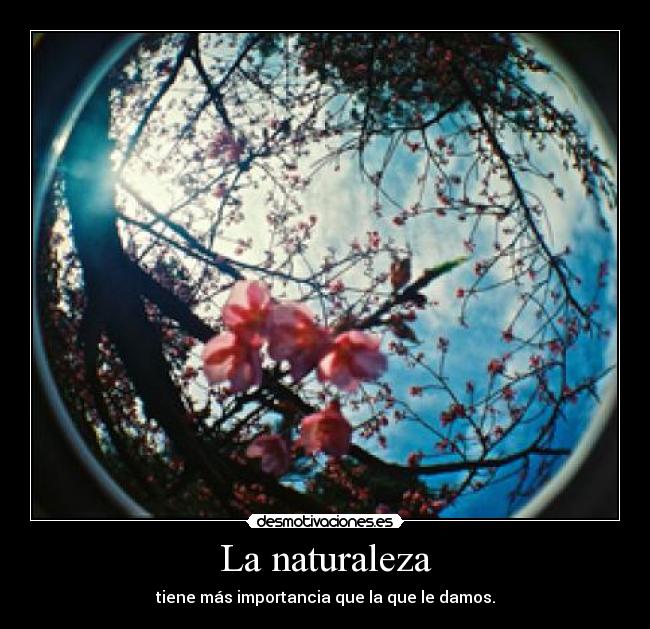 La naturaleza -