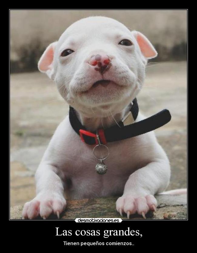 carteles comienzos desmotivaciones