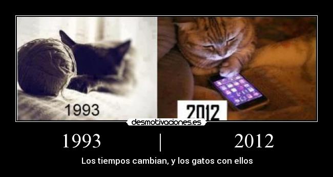 1993 | 2012 - Los tiempos cambian, y los gatos con ellos
