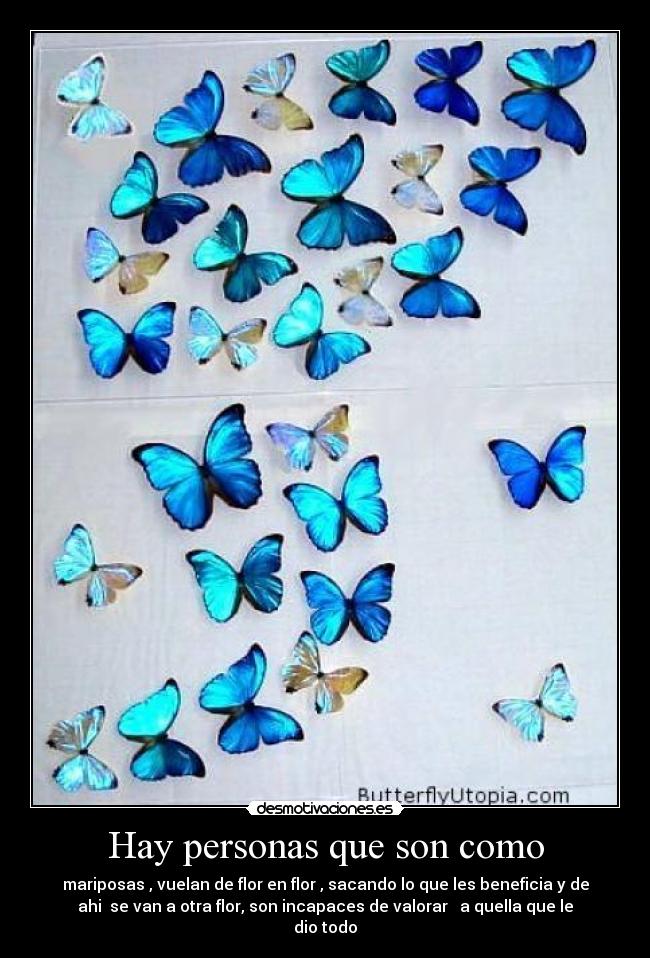 Hay personas que son como - 