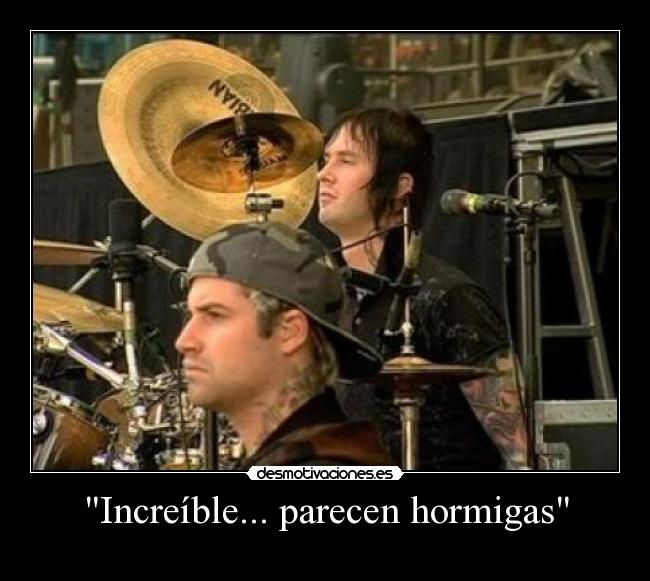 Increíble... parecen hormigas -