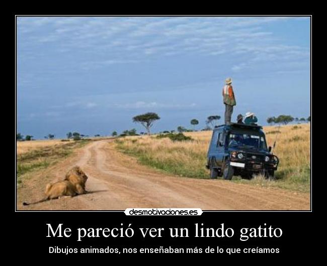 carteles despiste gatito desmotivaciones