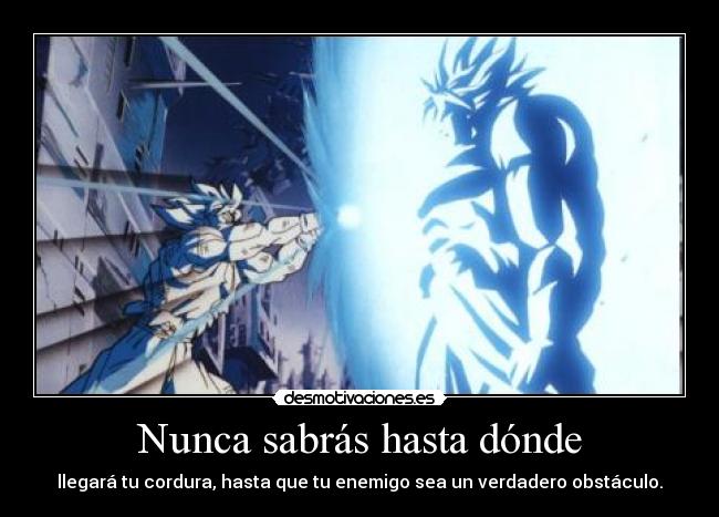 Nunca sabrás hasta dónde - 