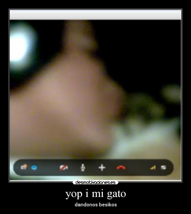 yop i mi gato - dandonos besikos