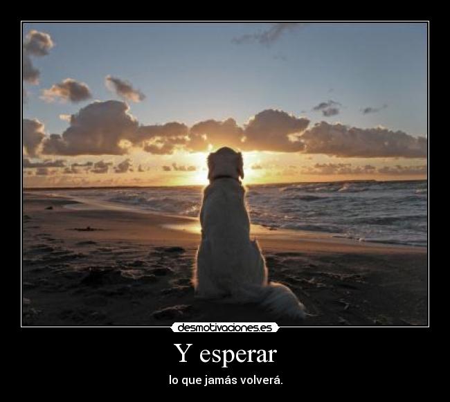Y esperar - 