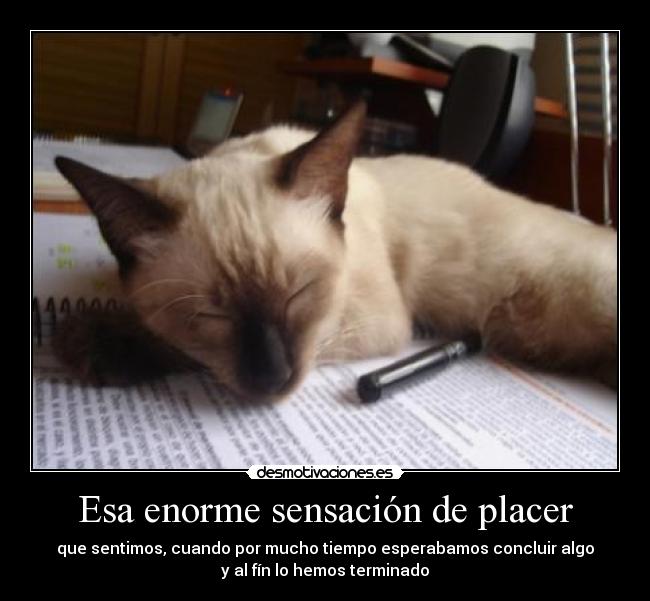 Esa enorme sensación de placer - que sentimos, cuando por mucho tiempo esperabamos concluir algo
y al fín lo hemos terminado