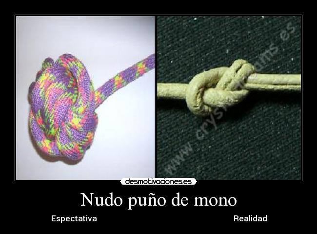 Nudo puño de mono - Espectativa Realidad