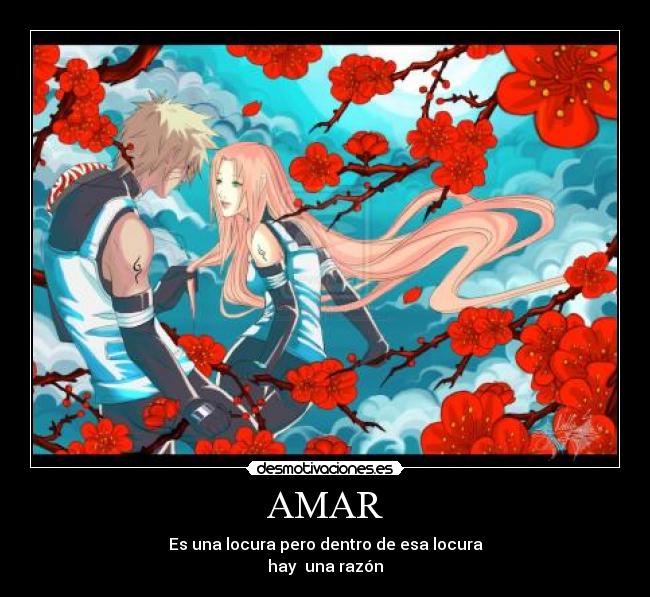AMAR - 