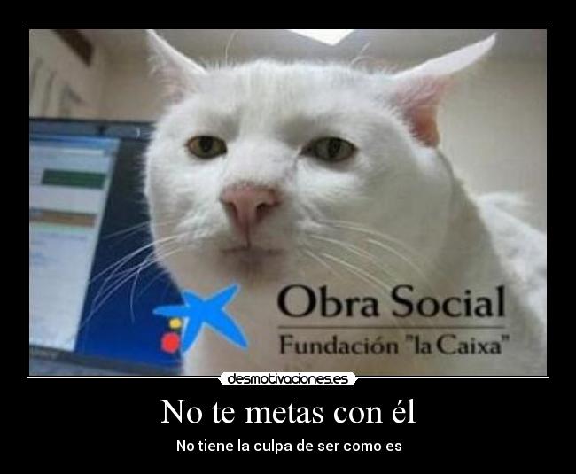 No te metas con él - 