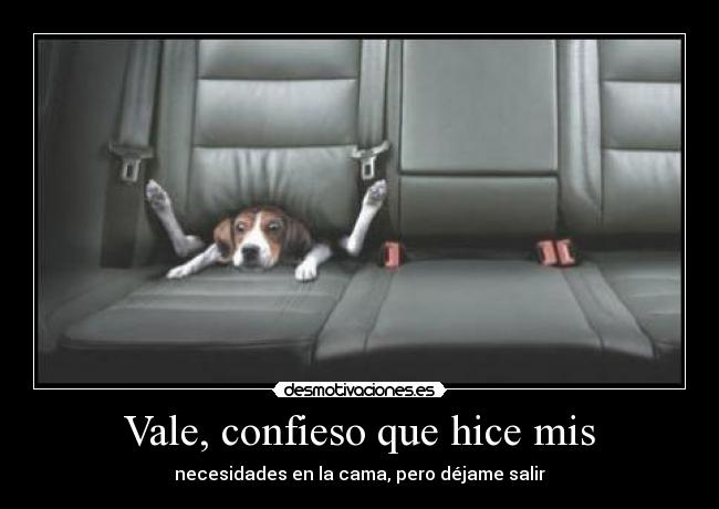 Vale, confieso que hice mis - necesidades en la cama, pero déjame salir