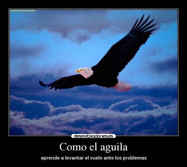 Como el aguila -