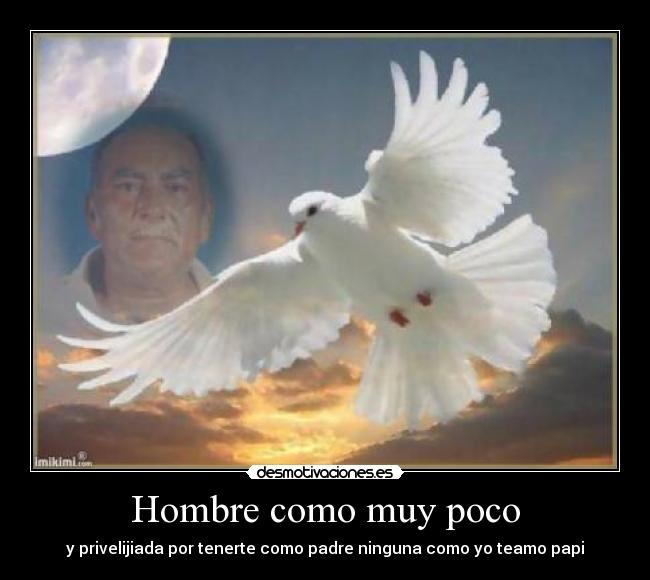 carteles rebeca desmotivaciones