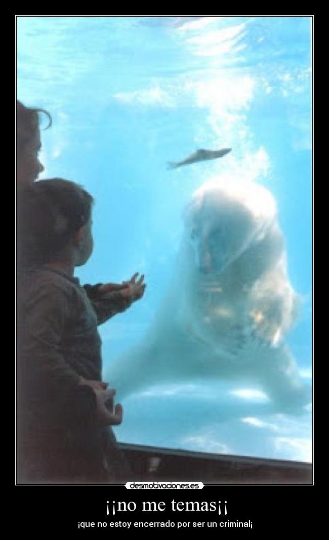 ¡¡no me temas¡¡ - ¡que no estoy encerrado por ser un criminal¡