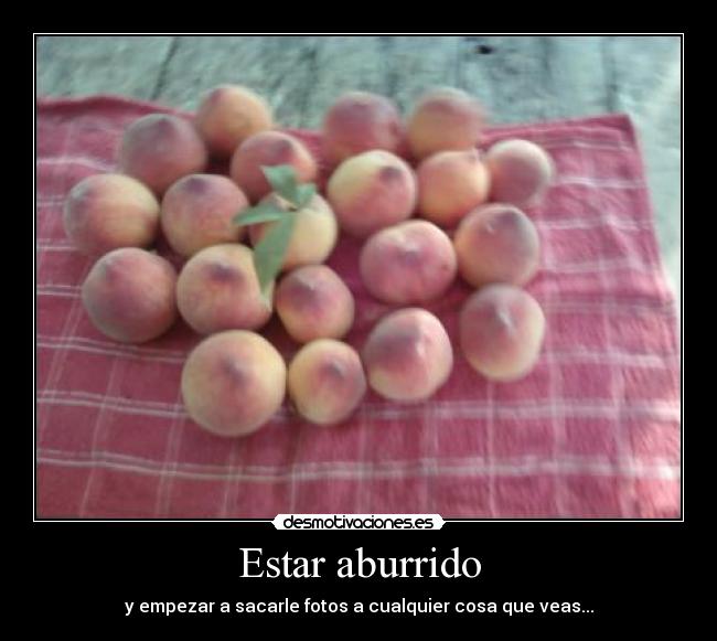 Estar aburrido - y empezar a sacarle fotos a cualquier cosa que veas...