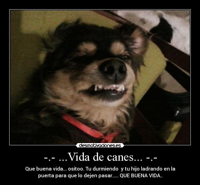 carteles vida desmotivaciones