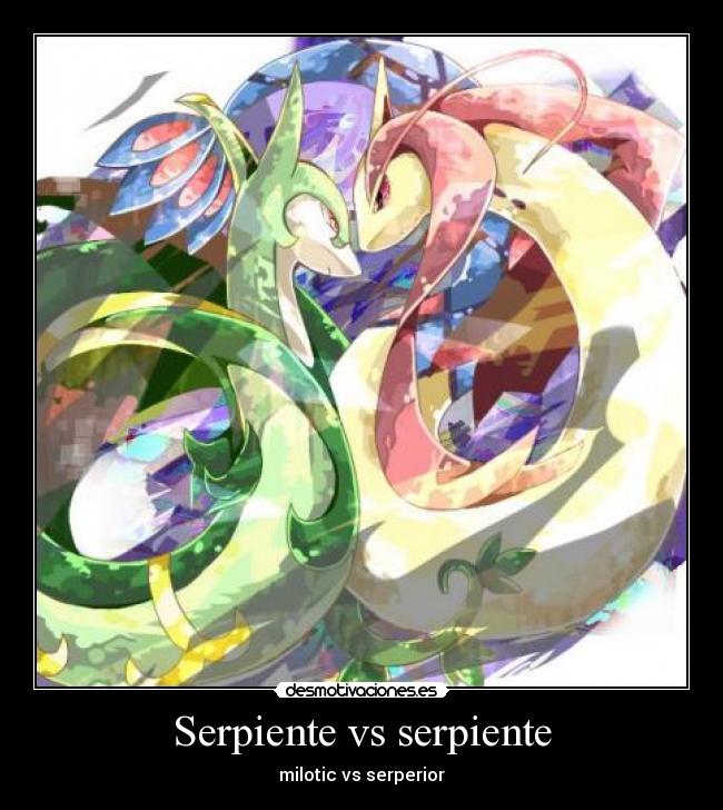 carteles pokemon milotic serperior desmotivaciones