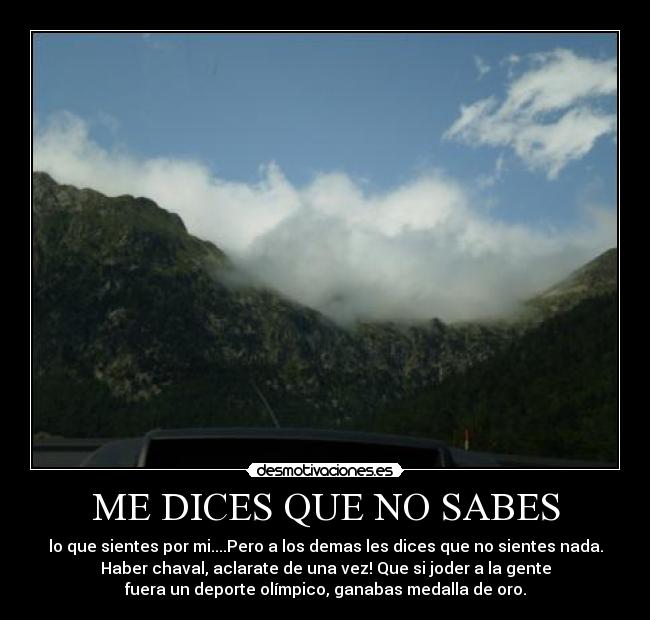ME DICES QUE NO SABES -