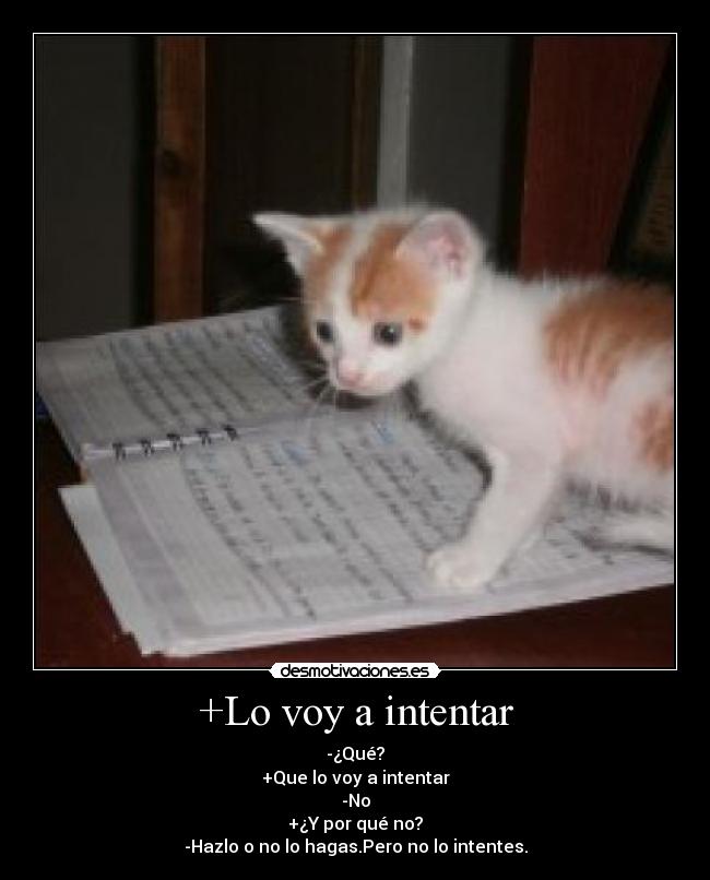 +Lo voy a intentar -