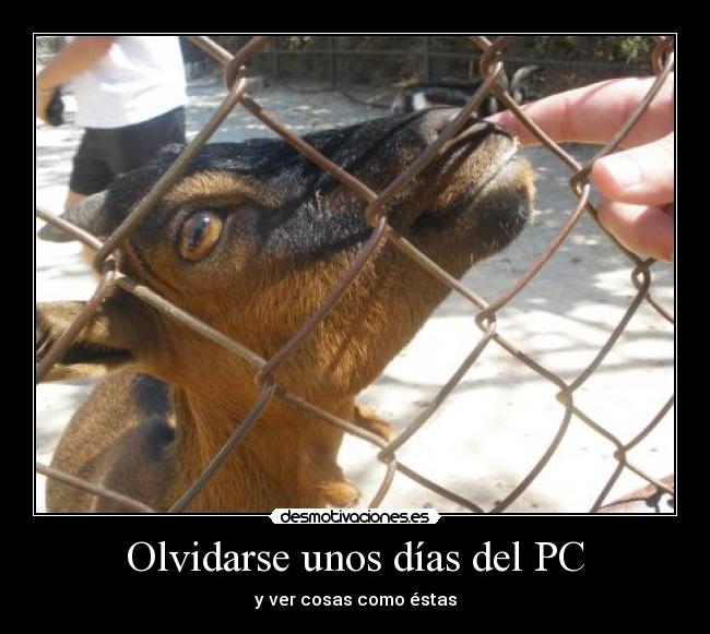 Olvidarse unos días del PC - 