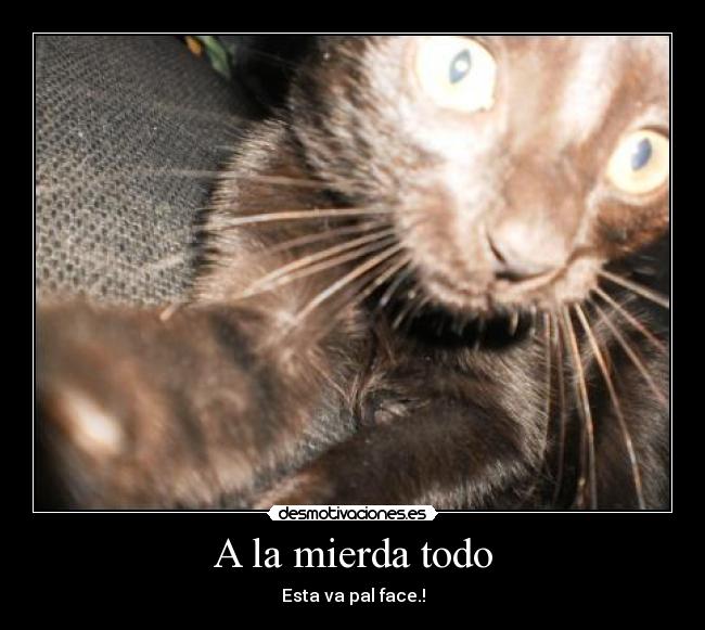 A la mierda todo - Esta va pal face.!