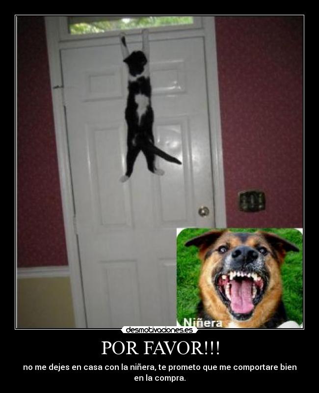 POR FAVOR!!! - no me dejes en casa con la niñera, te prometo que me comportare bien en la compra.