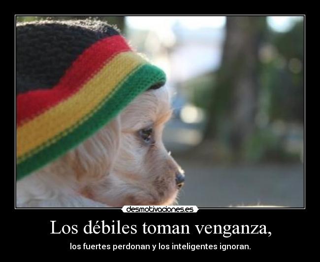 Los débiles toman venganza, - los fuertes perdonan y los inteligentes ignoran.
