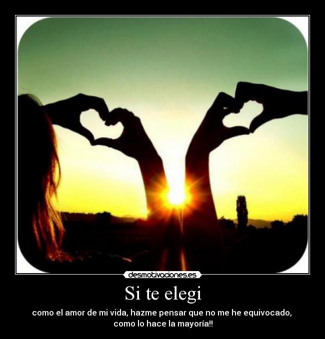 carteles elegi desmotivaciones