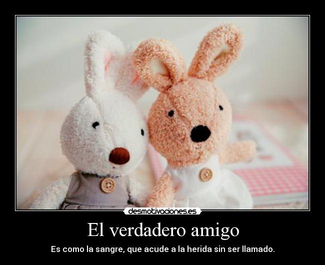 El verdadero amigo - Es como la sangre, que acude a la herida sin ser llamado.