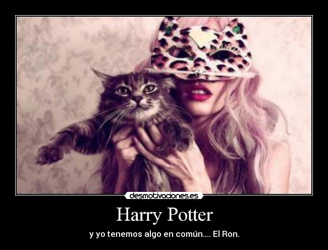 carteles harry desmotivaciones