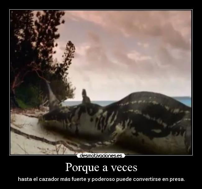 carteles clanderaulfc desmotivaciones