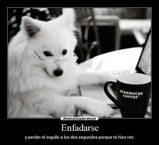 Enfadarse -