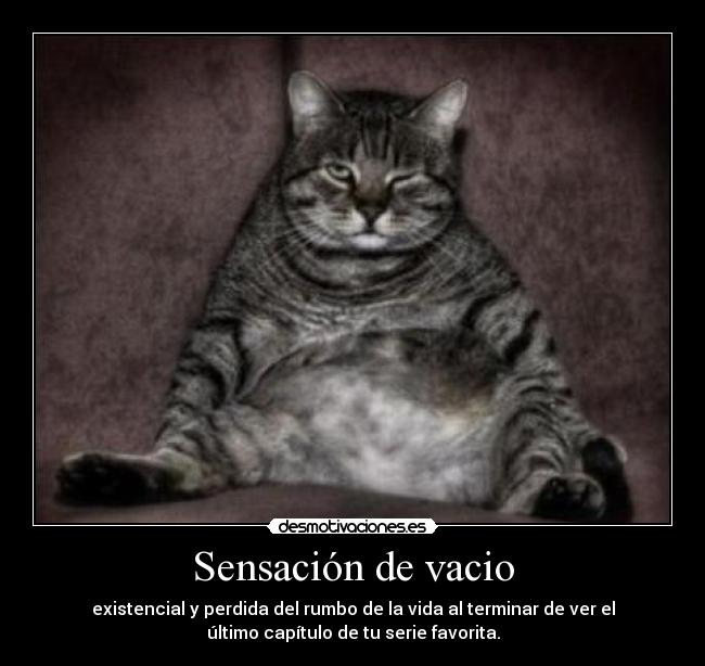 Sensación de vacio - existencial y perdida del rumbo de la vida al terminar de ver el
último capítulo de tu serie favorita.