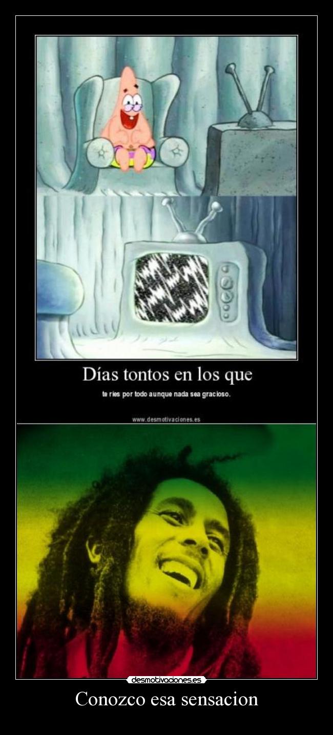 carteles bob marley risa tonta ganja desmotivaciones