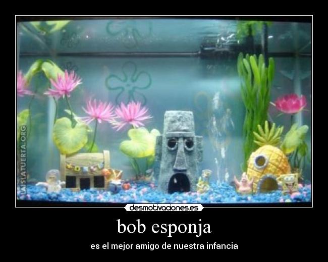 bob esponja -