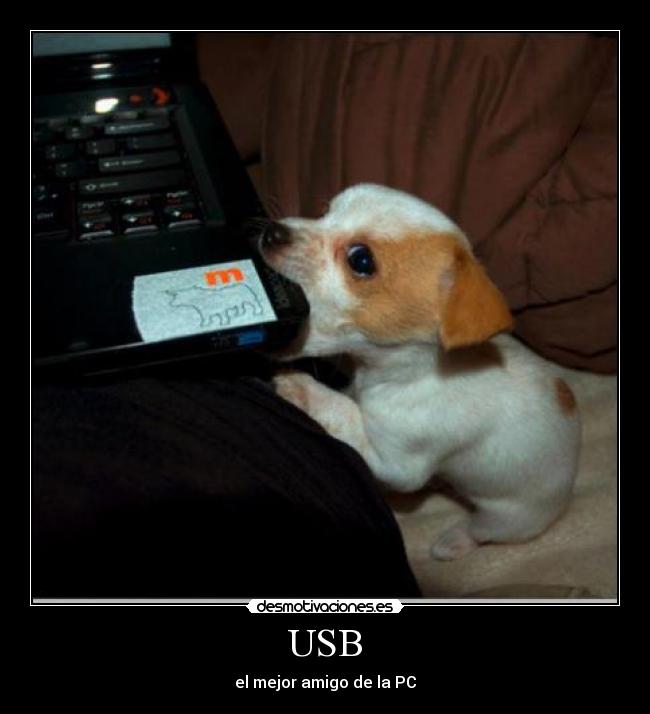 USB - el mejor amigo de la PC