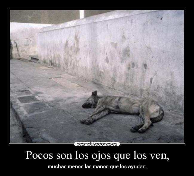 carteles ocsuhc quedate conmigo 253 desmopornositas intruders clanpechotes desmotivaciones