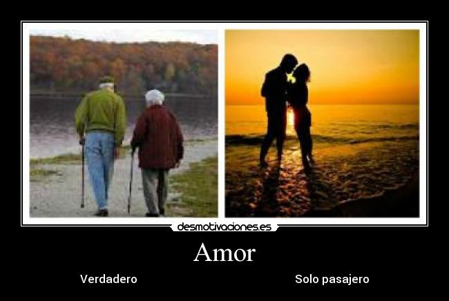 Amor -