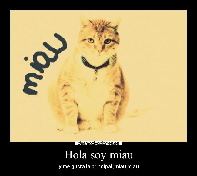 Hola soy miau - y me gusta la principal ,miau miau
