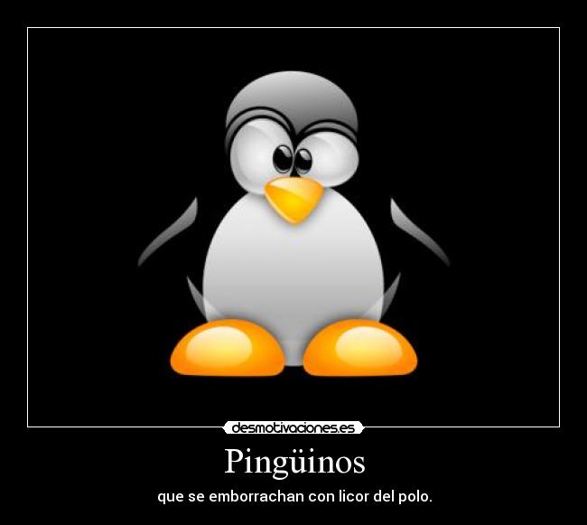 Pingüinos - 